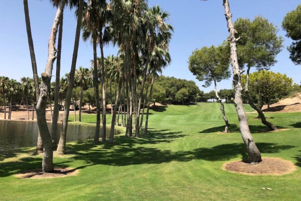 Palm-lined fairway and water at Las Ramblas Golf